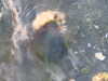 20210526203420-DSCN8739.JPG