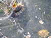 20210526203424-DSCN8740.JPG