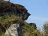 20210527110144-DSCN8778.JPG