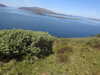 20210527113649-DSCN8842.JPG