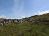 20210527120335-DSCN8886.JPG