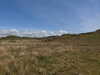 20210527121532-DSCN8900.JPG