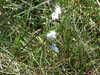 20210527122244-DSCF6151.JPG