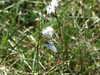 20210527122248-DSCF6152.JPG