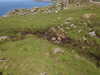 20210527122307-DSCN8907.JPG