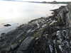 20210527203442-DSCN8925.JPG