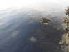 20210527203526-DSCN8927.JPG