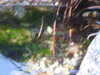 20210527203540-DSCN8928.JPG