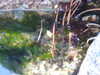 20210527203543-DSCN8929.JPG