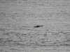 20210527204757-DSCN8944.JPG