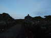 20210527213702-DSCF6175.JPG