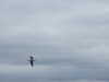 20210528085854-DSCN8965.JPG