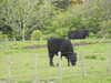 20210529082814-DSCN9025.JPG