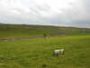 20210529161407-DSCN9040.JPG