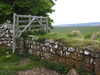 20210529162553-DSCN9062.JPG