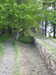 20210529162624-DSCN9064.JPG