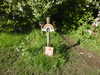 20210530075701-DSCN9094.JPG