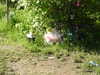 20210530075710-DSCN9096.JPG