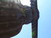 20210530075852-DSCN9101.JPG