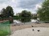 2021-06-06:chislehurst pond
