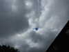 20210610110115-DSCN9112.JPG