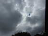20210610110203-DSCN9114.JPG