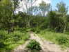 20210613095405-DSCN9123.JPG