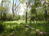20210613095700-DSCN9128.JPG