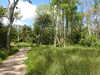 20210613095745-DSCN9129.JPG