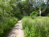 20210613095840-DSCN9130.JPG