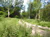 20210613095842-DSCN9131.JPG