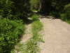 20210613095955-DSCN9133.JPG