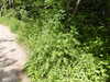 20210613100131-DSCN9134.JPG