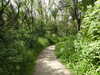 20210613100340-DSCN9135.JPG