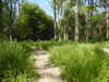 20210613100512-DSCN9136.JPG