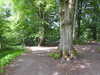 20210613100605-DSCN9137.JPG