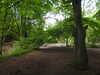 20210613100651-DSCN9138.JPG