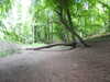 20210613100700-DSCN9139.JPG