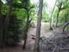20210613101109-DSCN9141.JPG