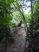 20210613101138-DSCN9142.JPG