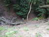 20210613101353-DSCN9144.JPG