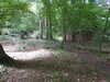 20210613101532-DSCN9147.JPG