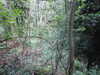 20210613102012-DSCN9149.JPG