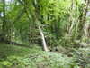 20210613102233-DSCN9151.JPG