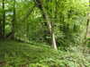 20210613102234-DSCN9152.JPG