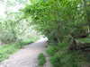 20210613102328-DSCN9153.JPG