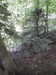 20210613102550-DSCN9155.JPG