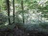 20210613102628-DSCN9156.JPG