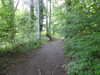 20210613102706-DSCN9157.JPG