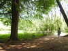 20210613103358-DSCN9161.JPG